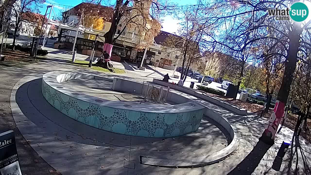 Fontana di birra Webcam – Oro verde – Žalec