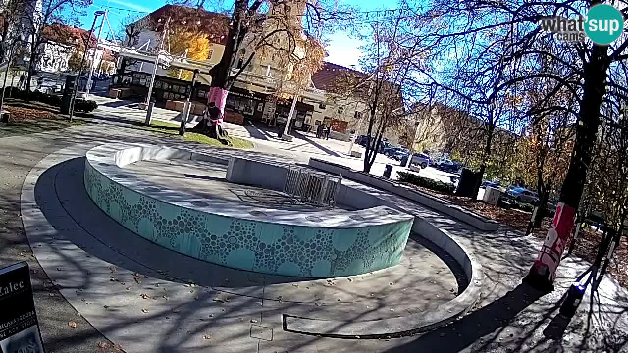 Fontana di birra Webcam – Oro verde – Žalec