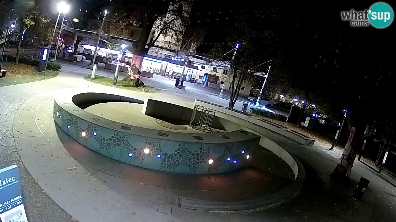 Fontaine à bière LIVE webcam – Or vert – Žalec