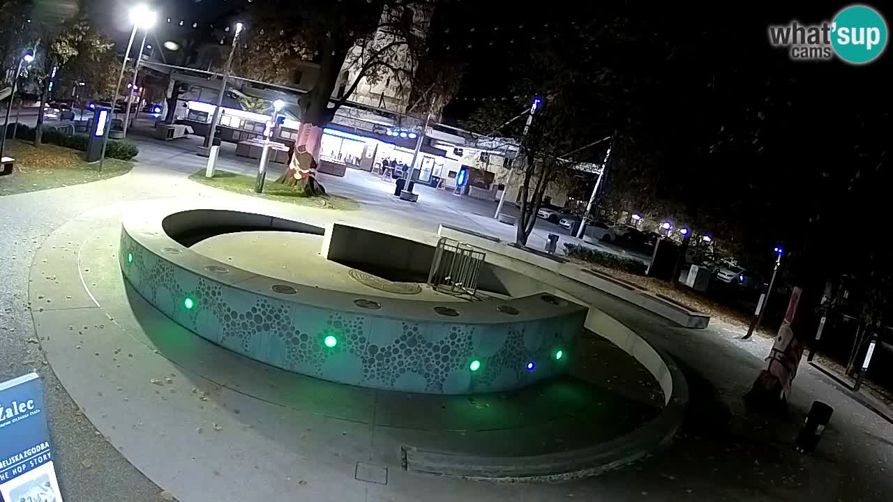 Web kamera Fontana piva – Zeleno zlato – Žalec