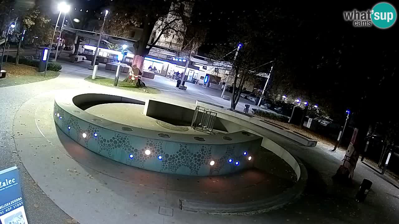 Bier-Springbrunnen Webcam Žalec – Grünen Goldes