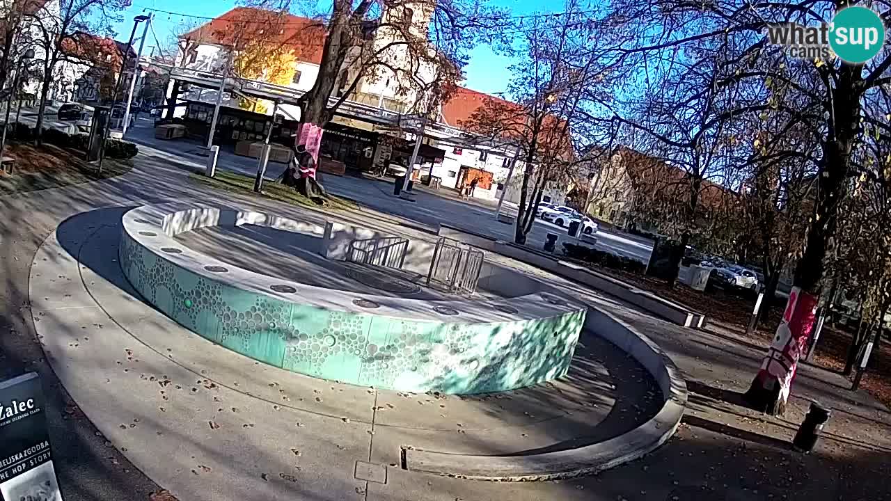 Fontana di birra Webcam – Oro verde – Žalec