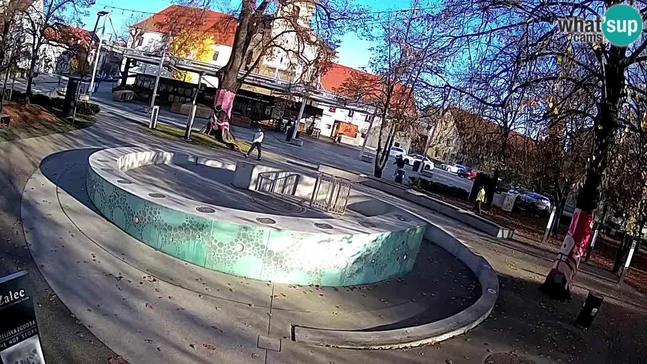 Spletna kamera Fontana Piv – Zeleno zlato Žalec