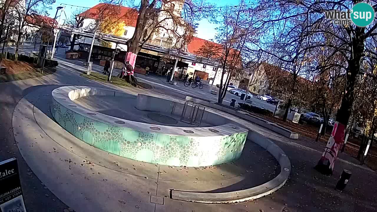 Bier-Springbrunnen Webcam Žalec – Grünen Goldes