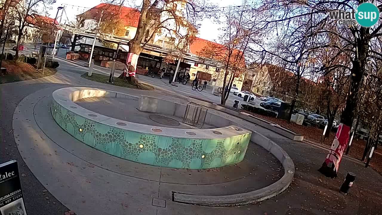 Fontana di birra Webcam – Oro verde – Žalec