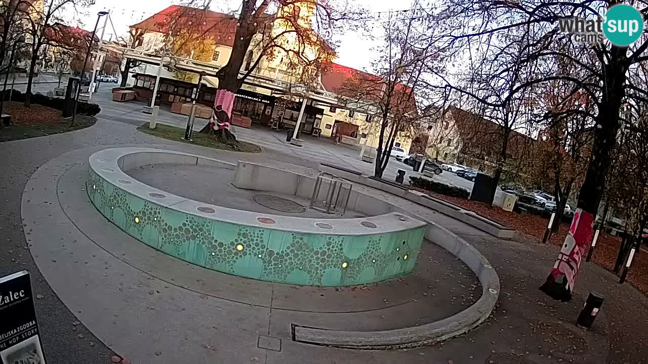 Spletna kamera Fontana Piv – Zeleno zlato Žalec