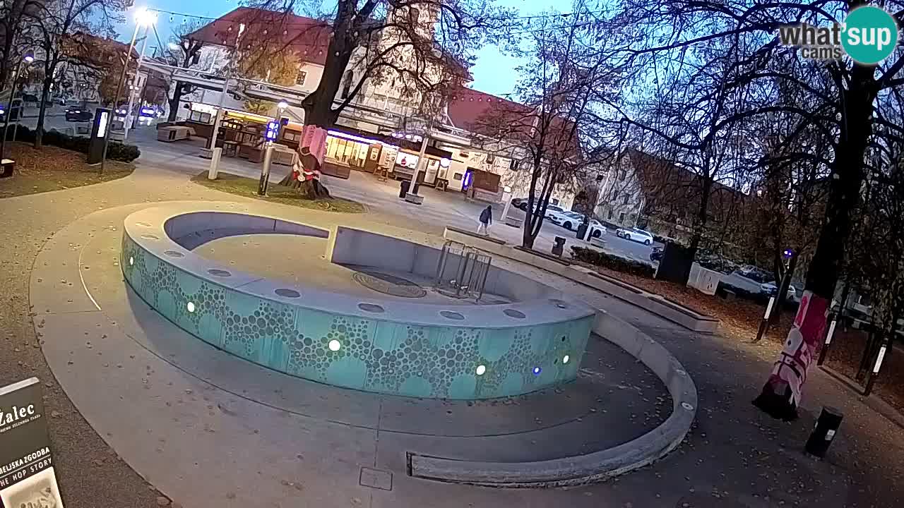 Bier-Springbrunnen Webcam Žalec – Grünen Goldes