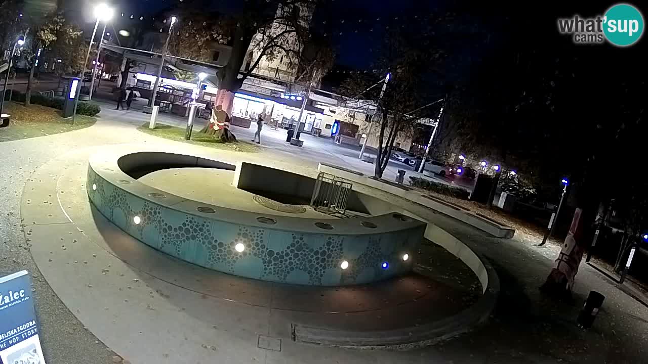 Fontana di birra Webcam – Oro verde – Žalec