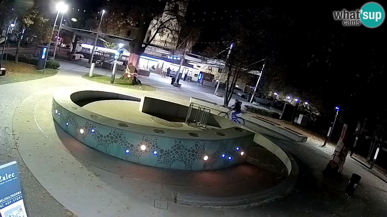 Bier-Springbrunnen Webcam Žalec – Grünen Goldes
