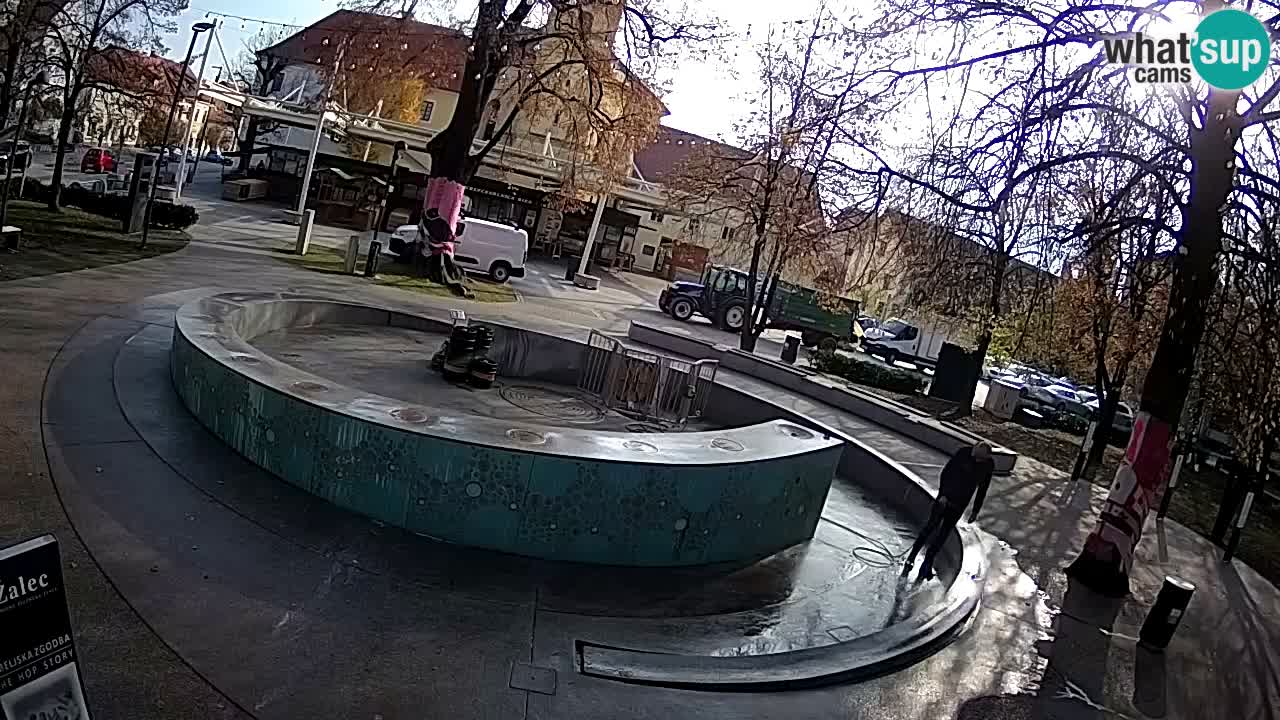 Spletna kamera Fontana Piv – Zeleno zlato Žalec