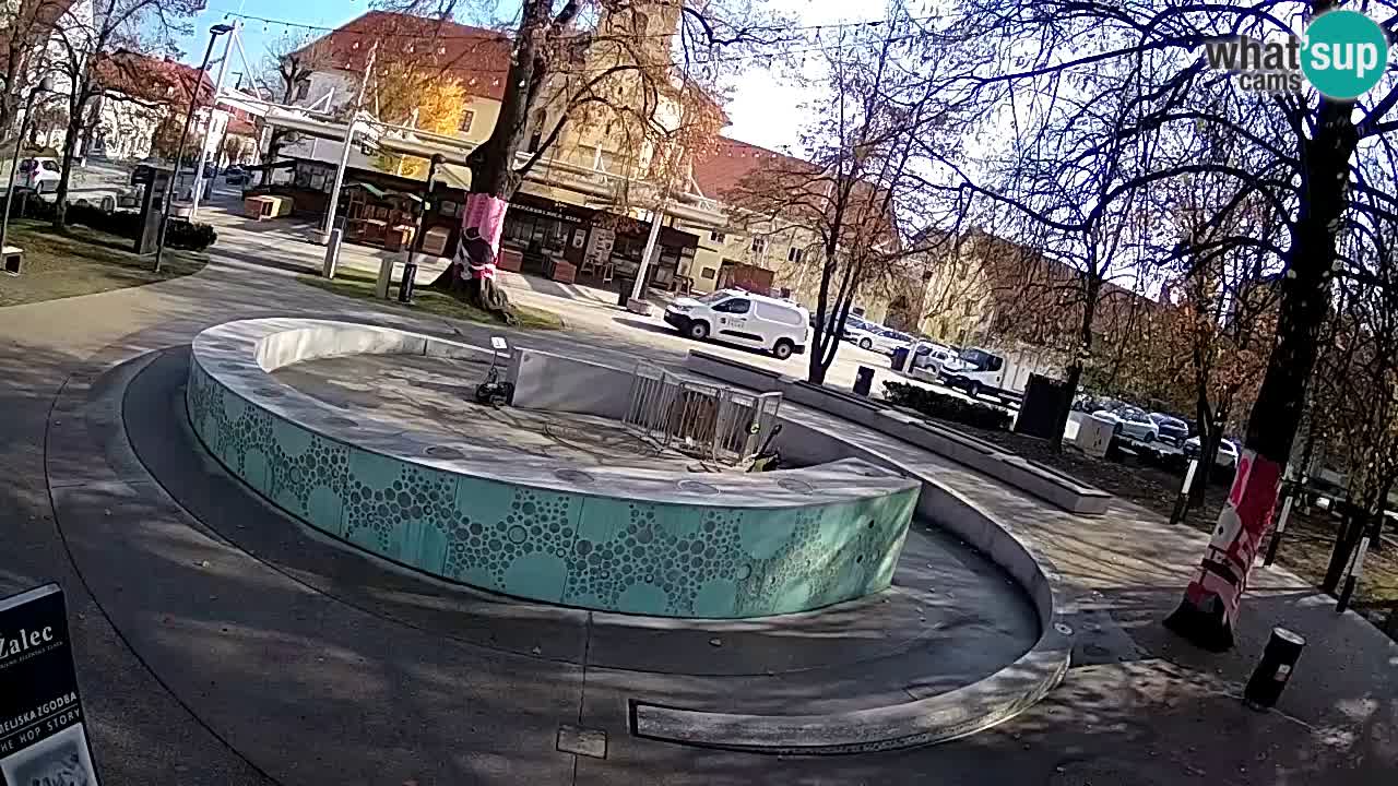 Spletna kamera Fontana Piv – Zeleno zlato Žalec