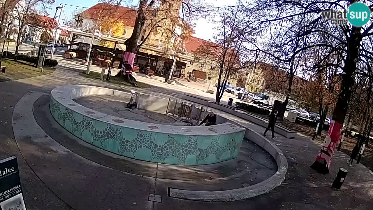 Fontana di birra Webcam – Oro verde – Žalec