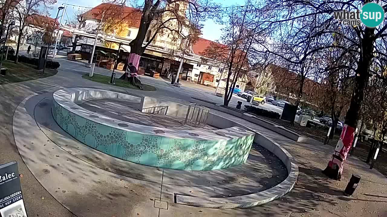 Fontana di birra Webcam – Oro verde – Žalec
