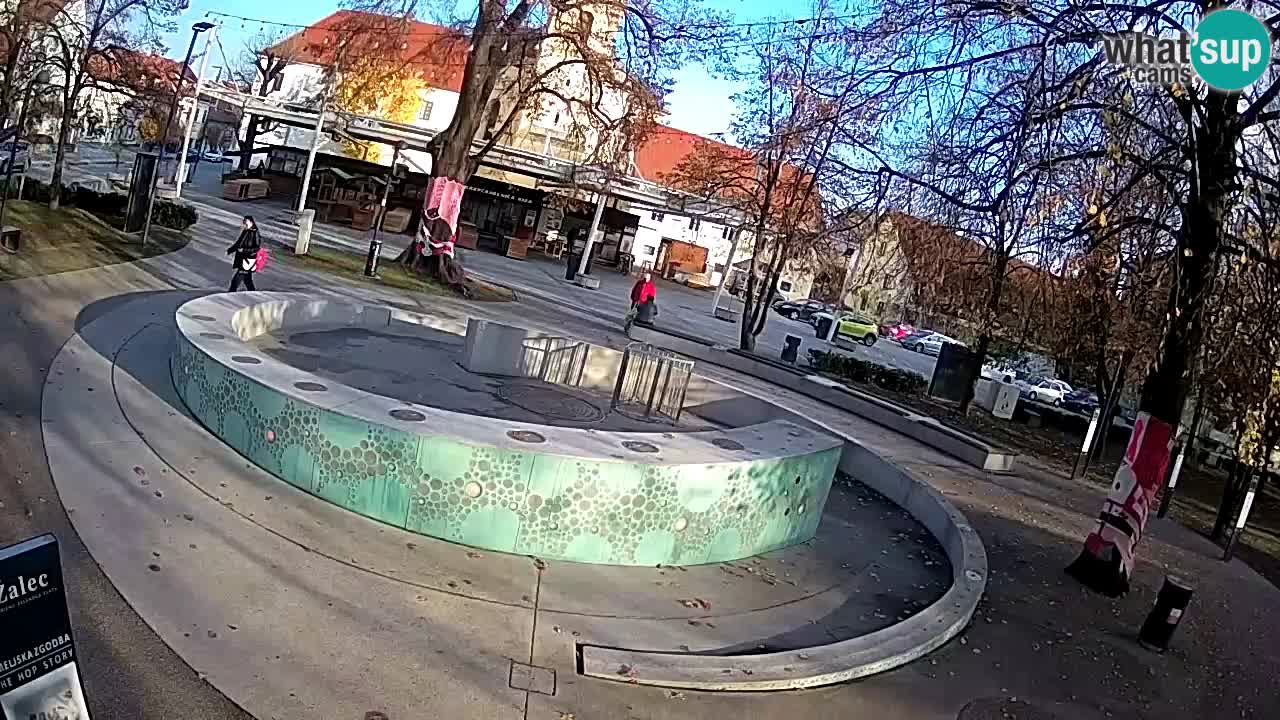 Fontana di birra Webcam – Oro verde – Žalec