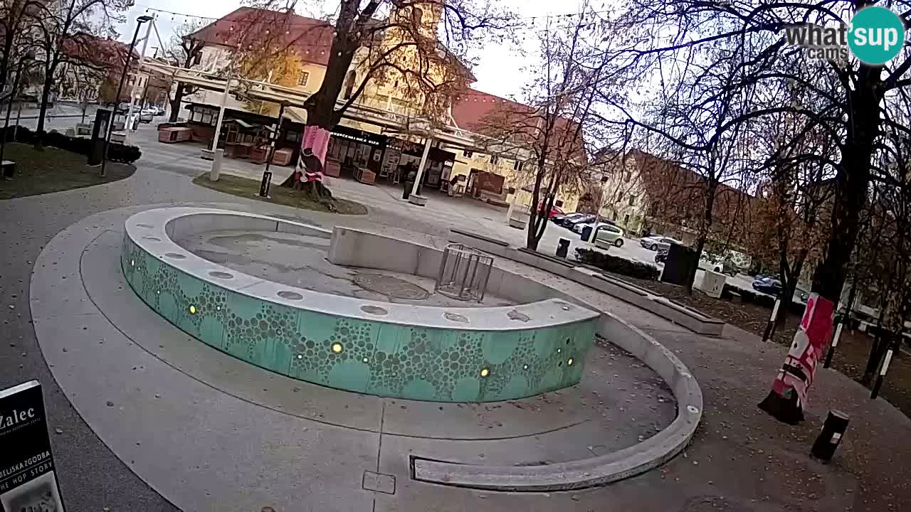 Web kamera Fontana piva – Zeleno zlato – Žalec