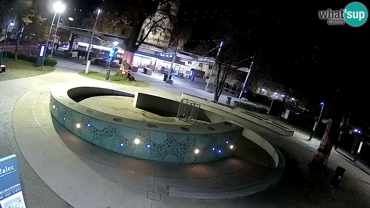 Fontana di birra Webcam – Oro verde – Žalec