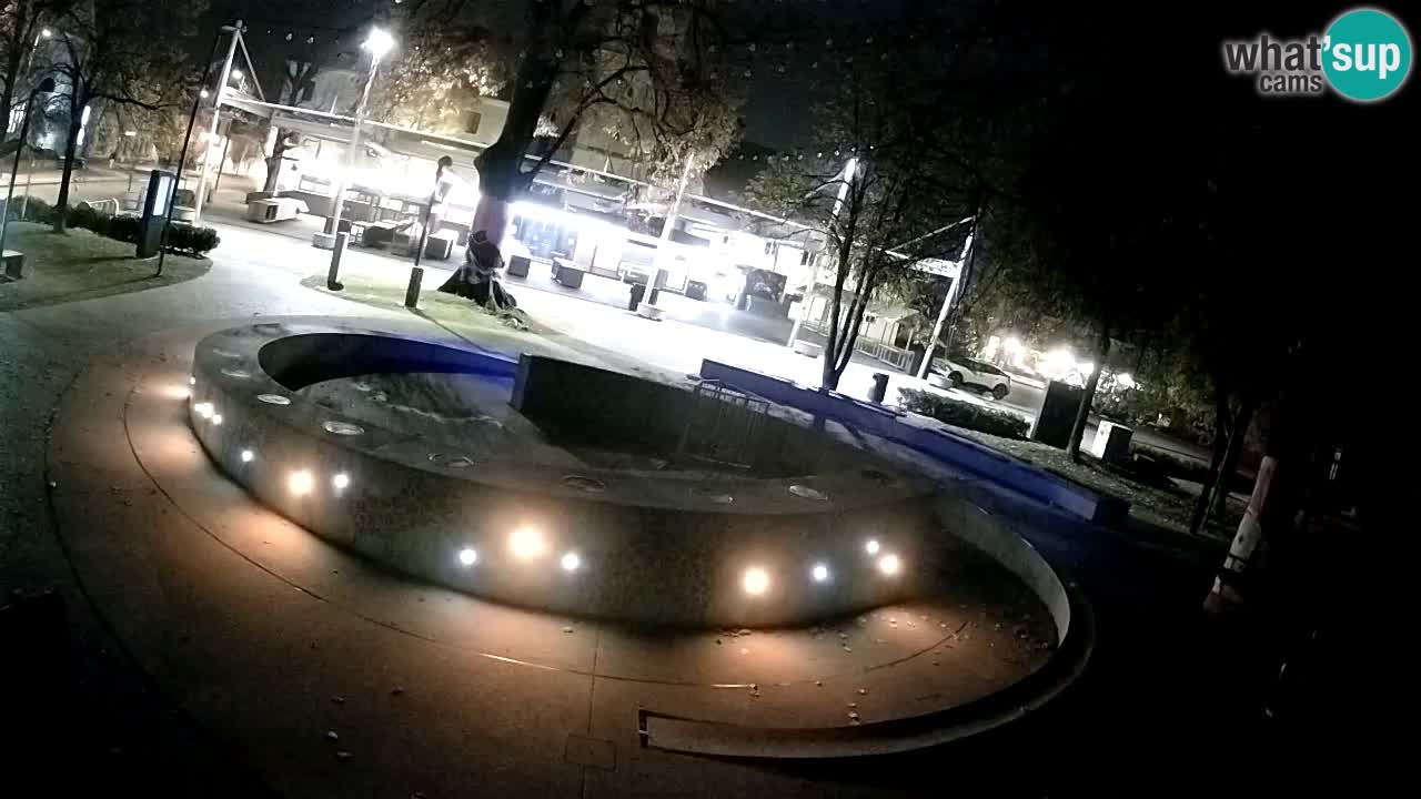 Fontana di birra Webcam – Oro verde – Žalec