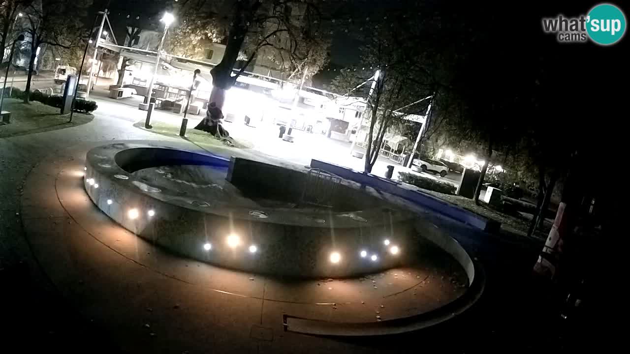 Camera en vivo Fuente de cerveza – Oro verde – Žalec