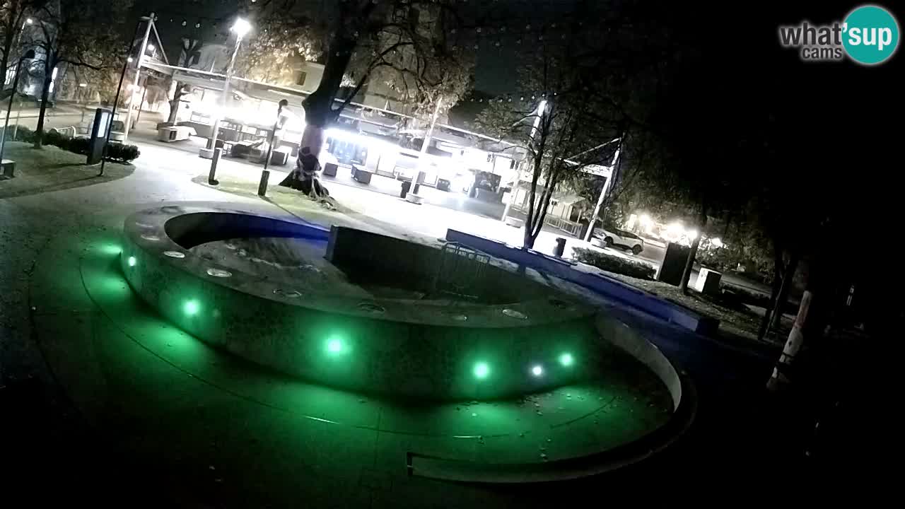 Fontana di birra Webcam – Oro verde – Žalec