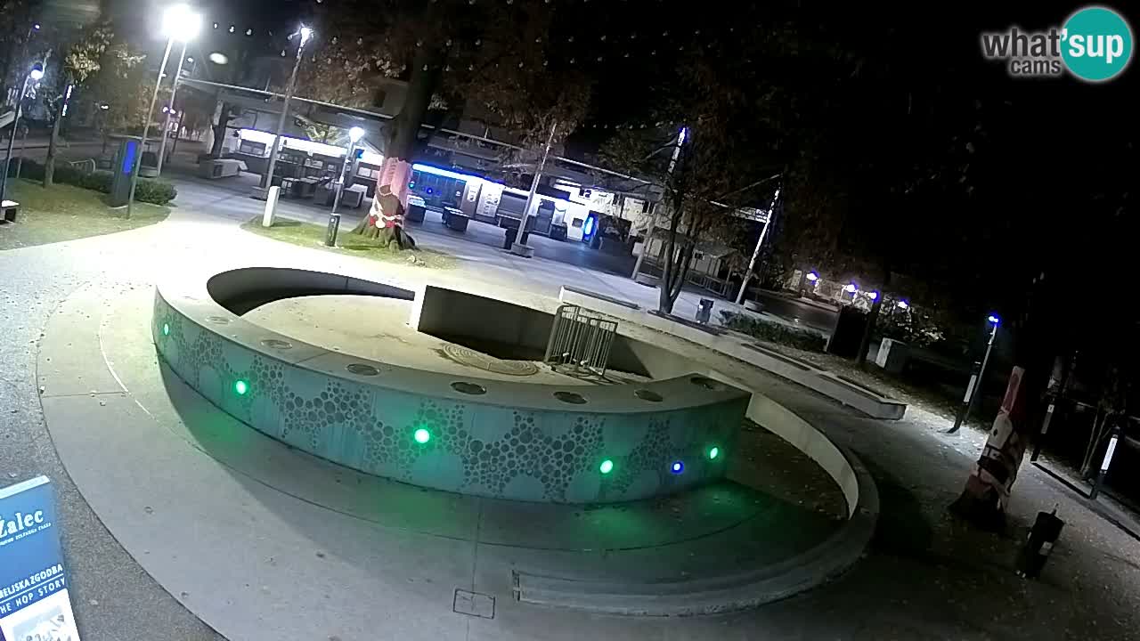 Fontana di birra Webcam – Oro verde – Žalec
