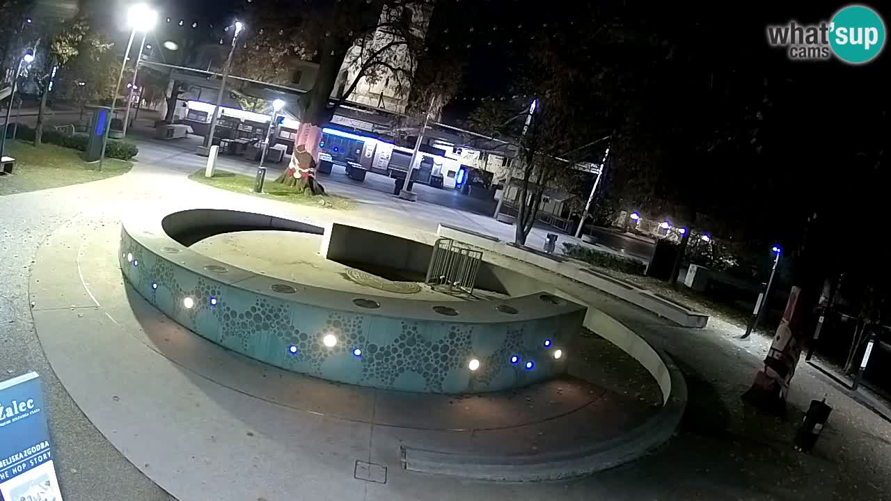 Fontana di birra Webcam – Oro verde – Žalec