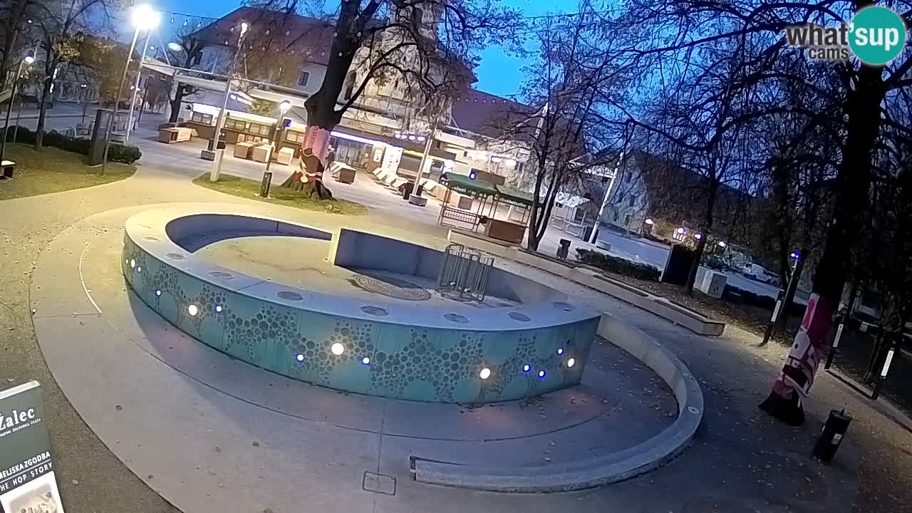 Camera en vivo Fuente de cerveza – Oro verde – Žalec