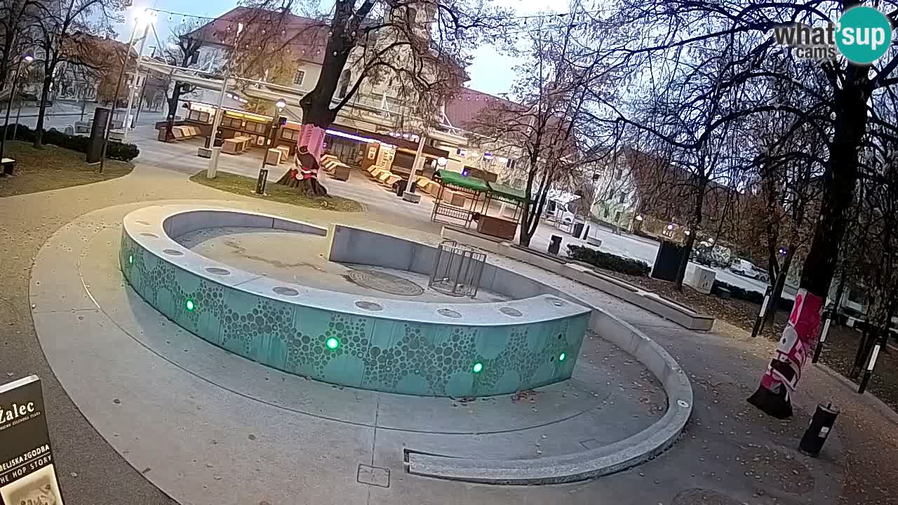 Camera en vivo Fuente de cerveza – Oro verde – Žalec