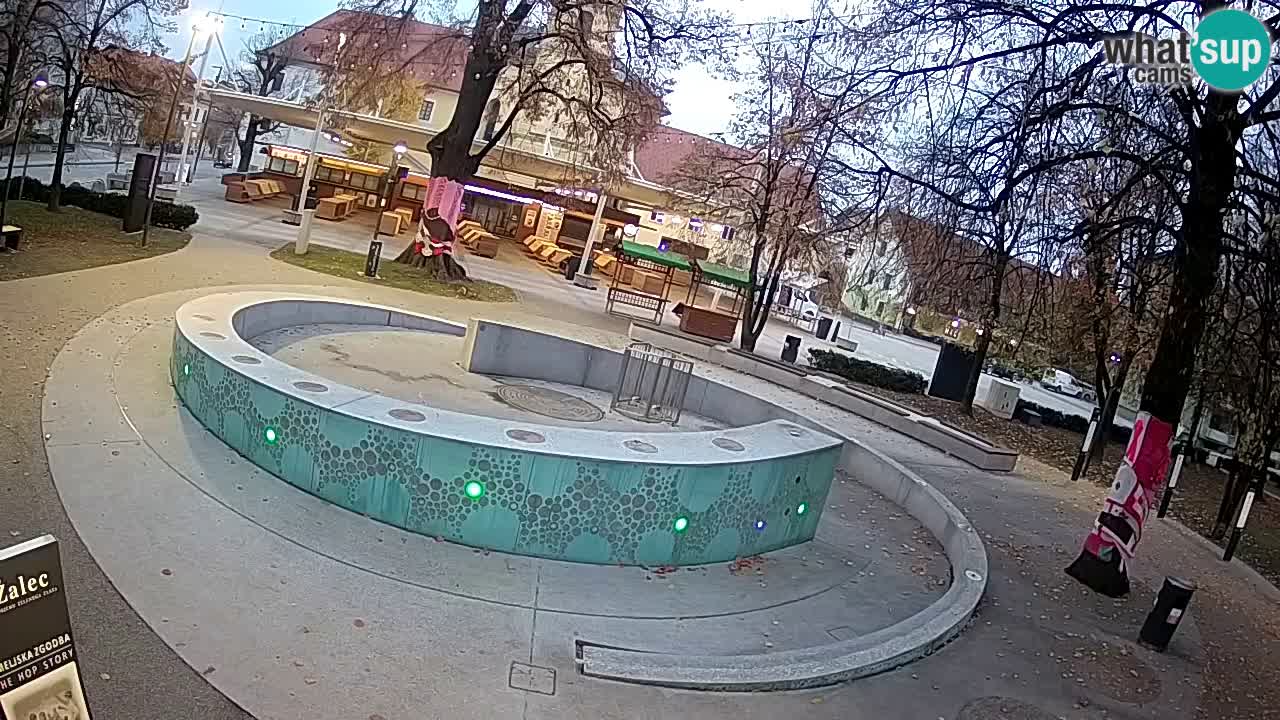 Web kamera Fontana piva – Zeleno zlato – Žalec