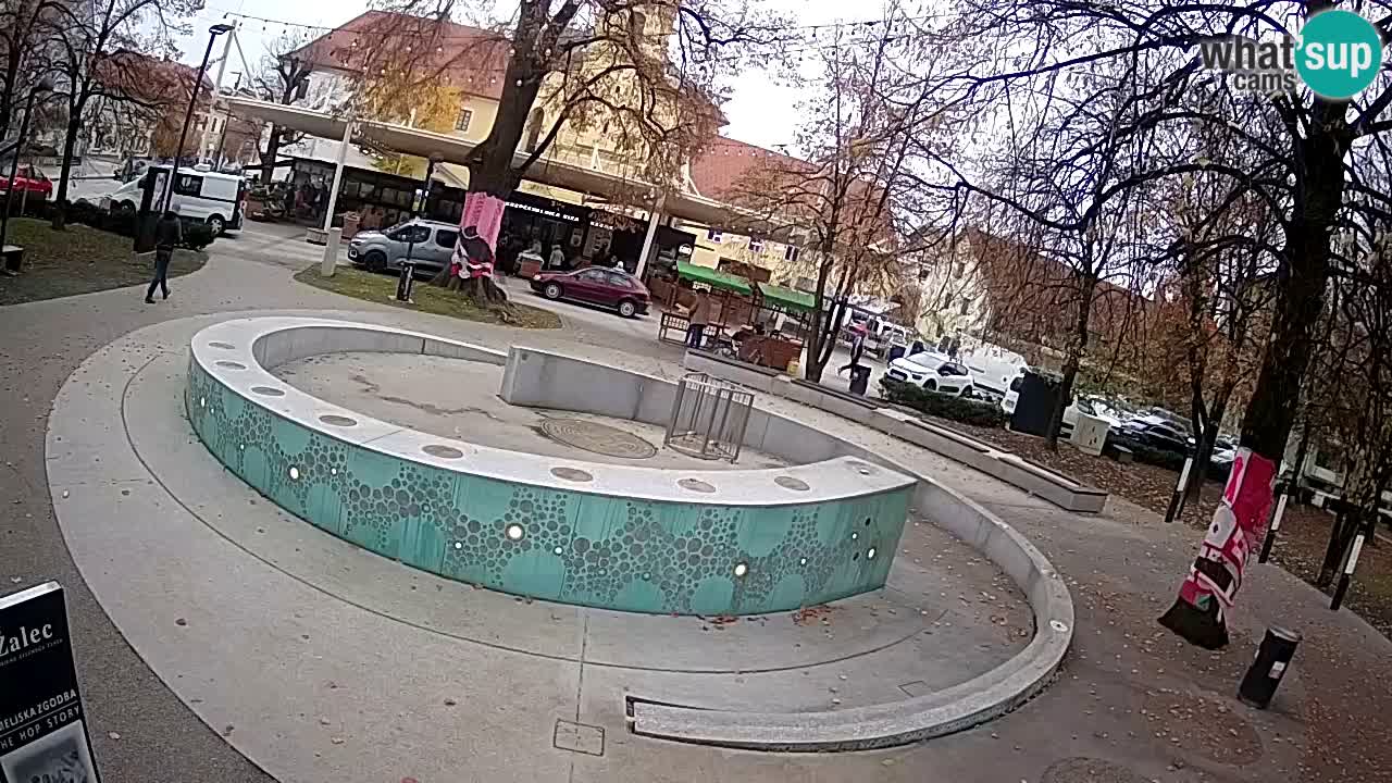 Camera en vivo Fuente de cerveza – Oro verde – Žalec