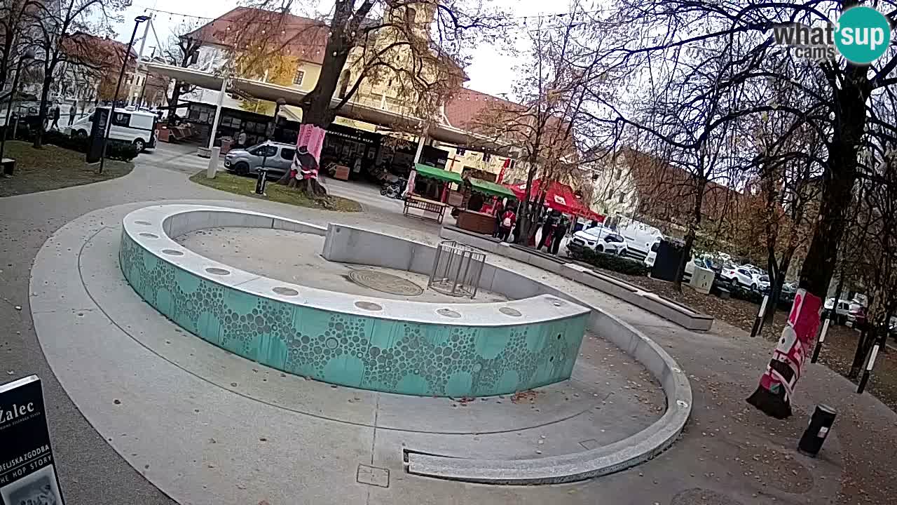 Web kamera Fontana piva – Zeleno zlato – Žalec