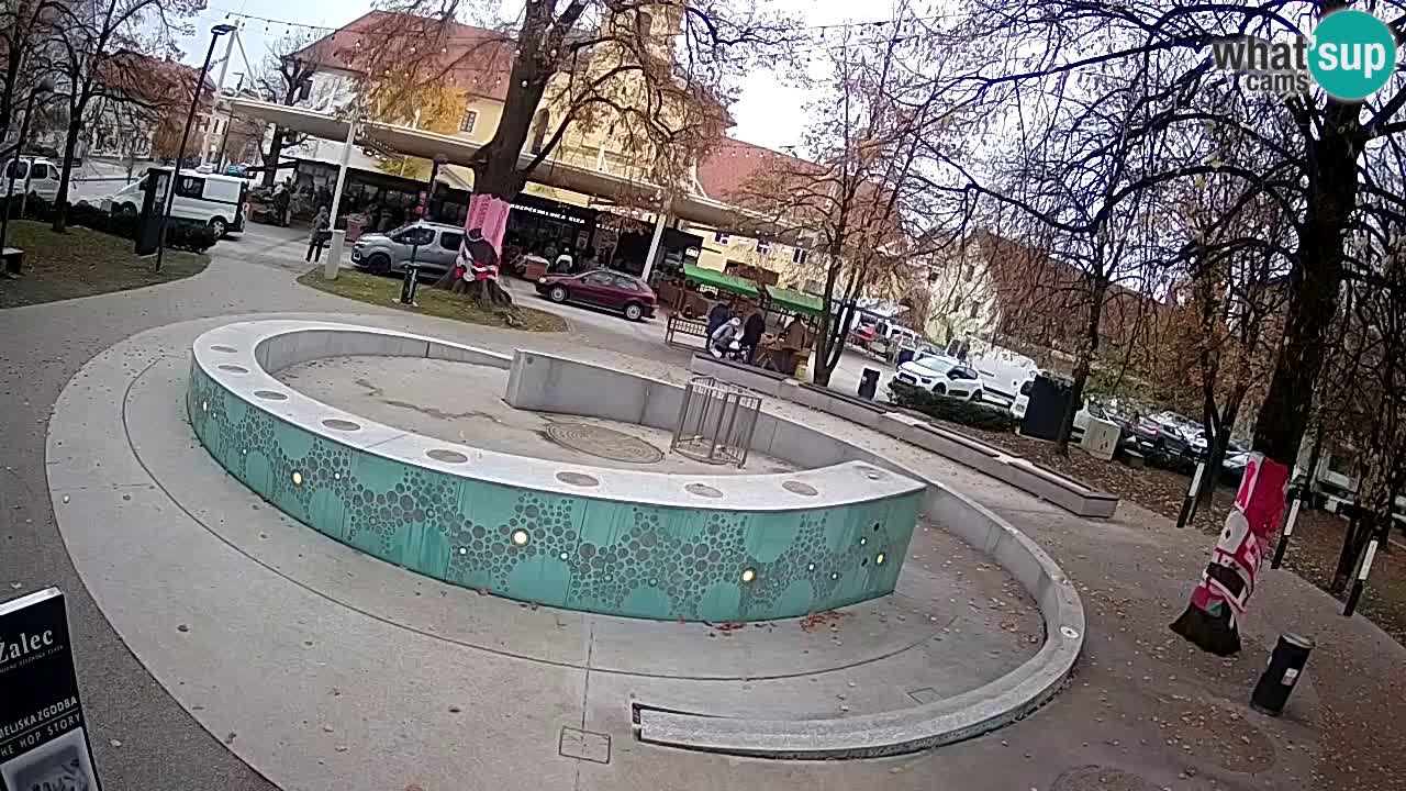 Web kamera Fontana piva – Zeleno zlato – Žalec