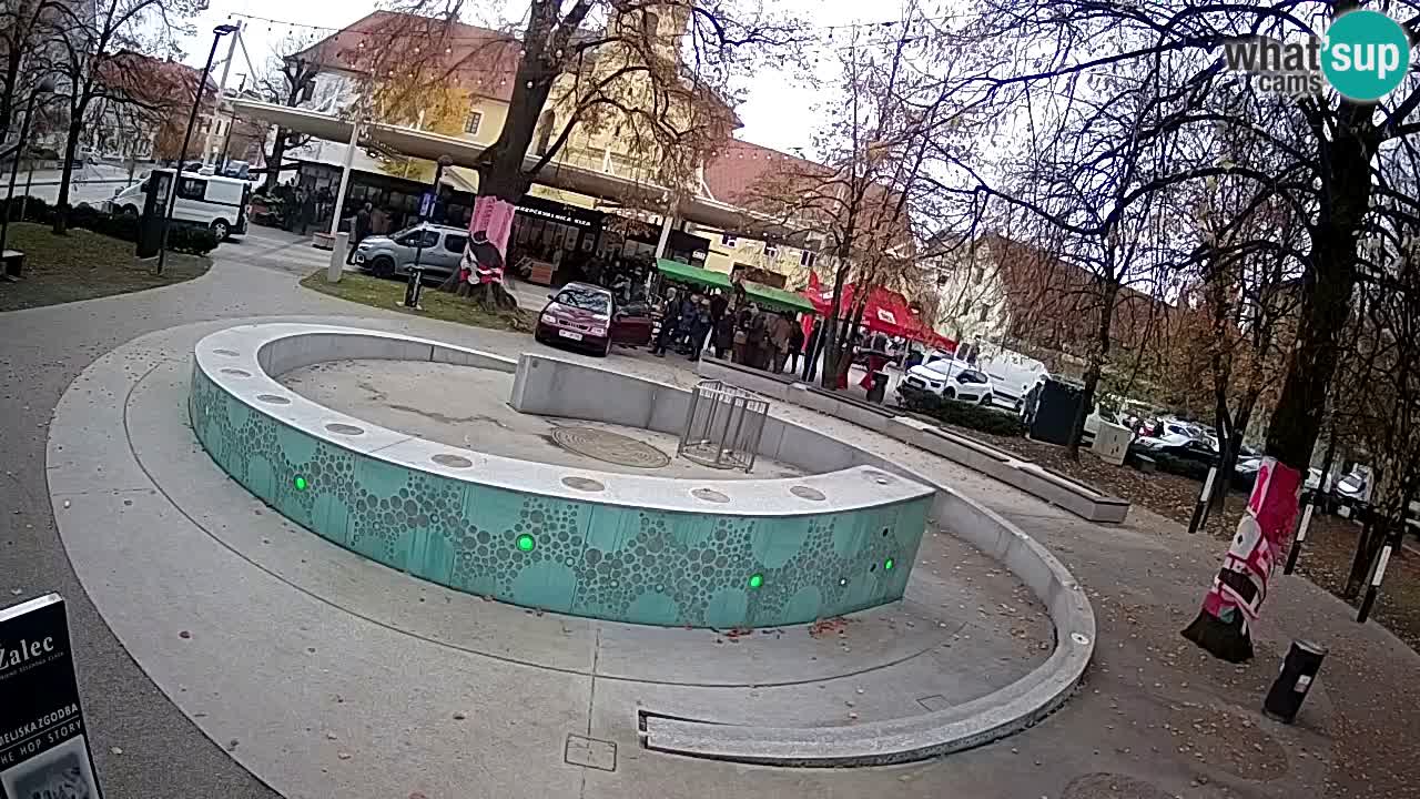 Fontana di birra Webcam – Oro verde – Žalec