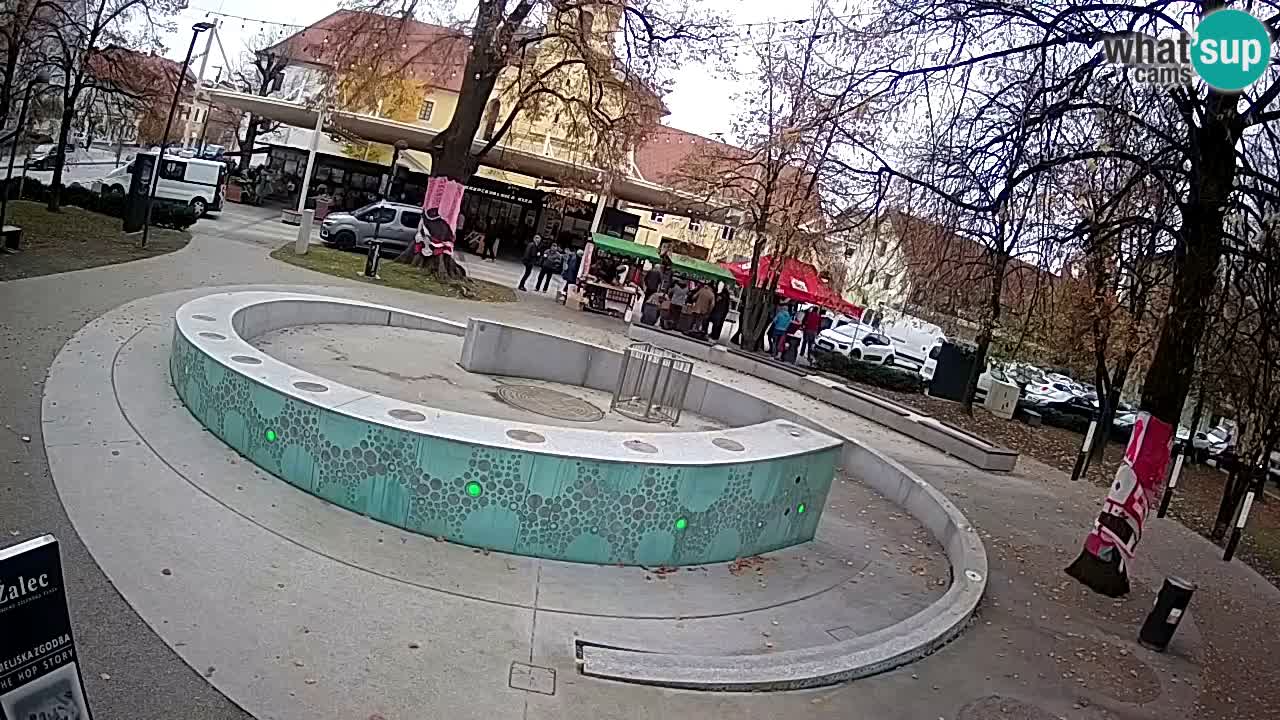 Bier-Springbrunnen Webcam Žalec – Grünen Goldes