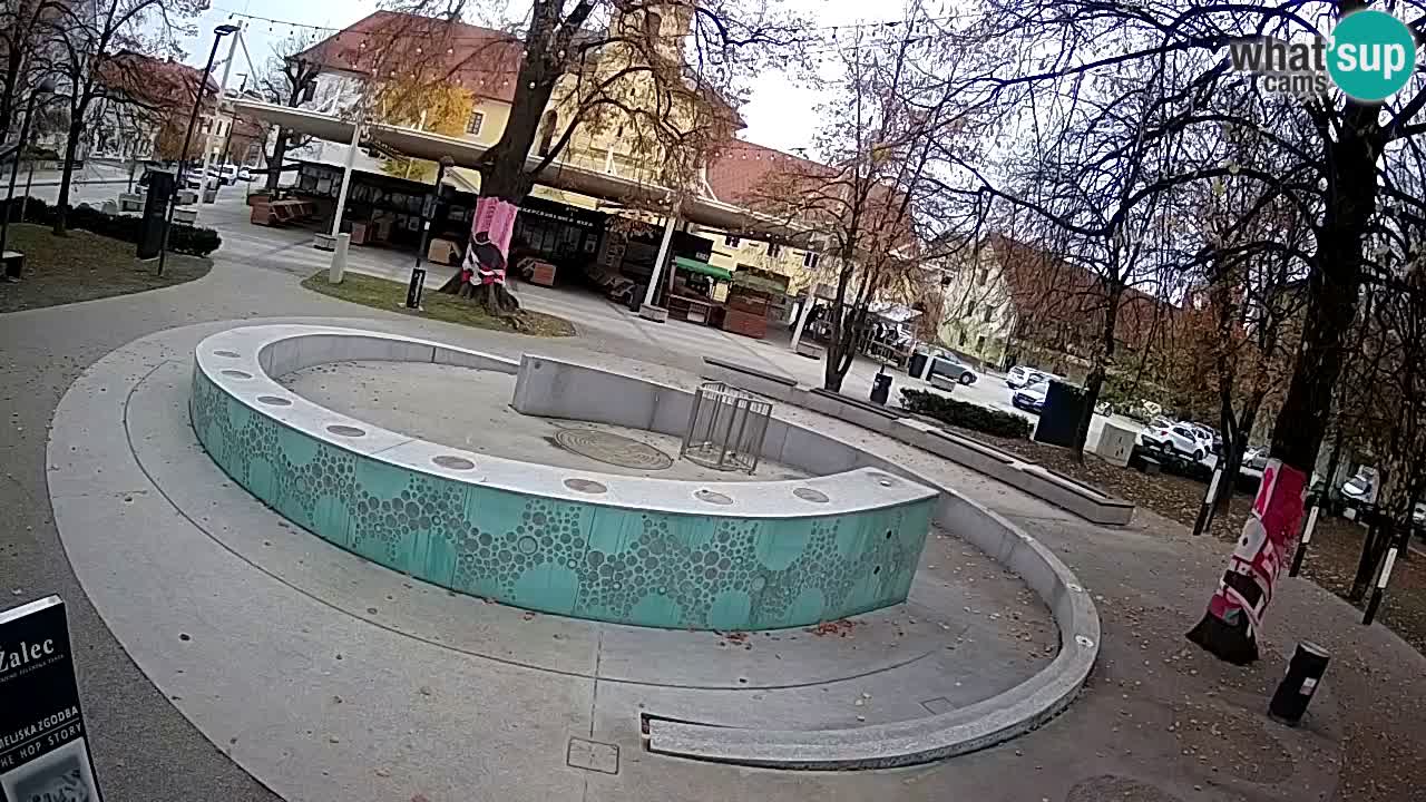 Web kamera Fontana piva – Zeleno zlato – Žalec