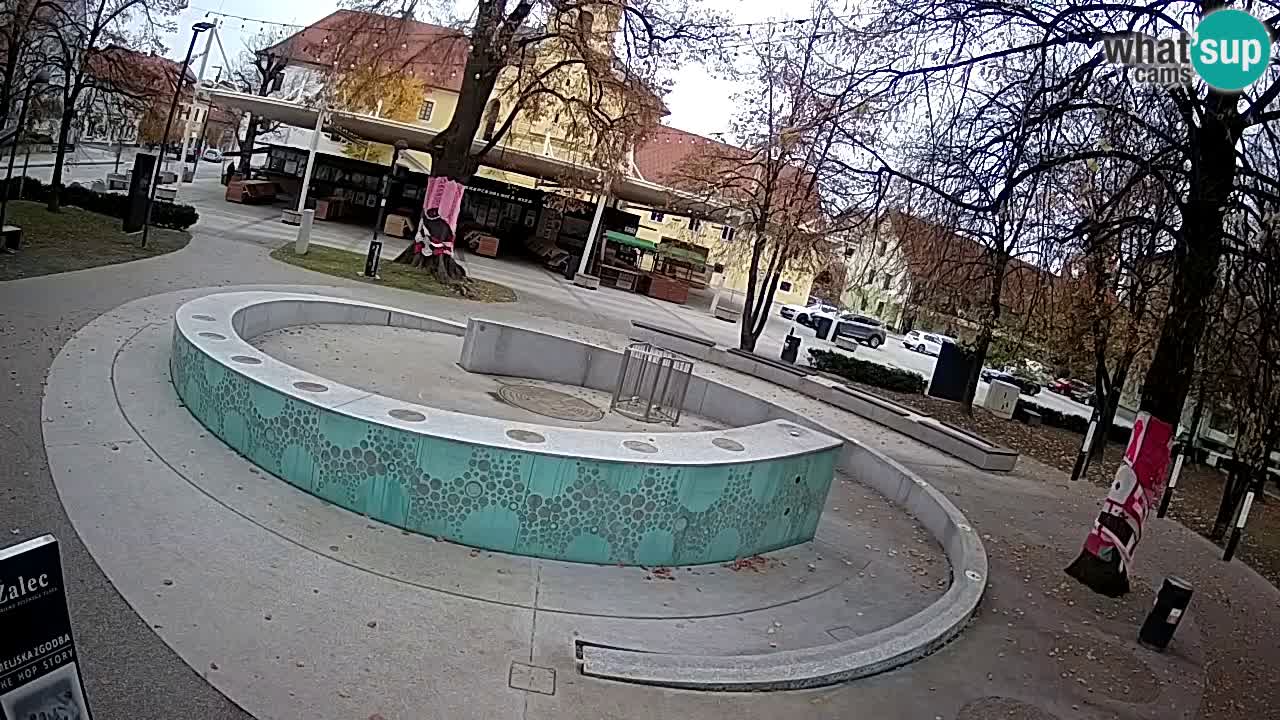 Fontana di birra Webcam – Oro verde – Žalec