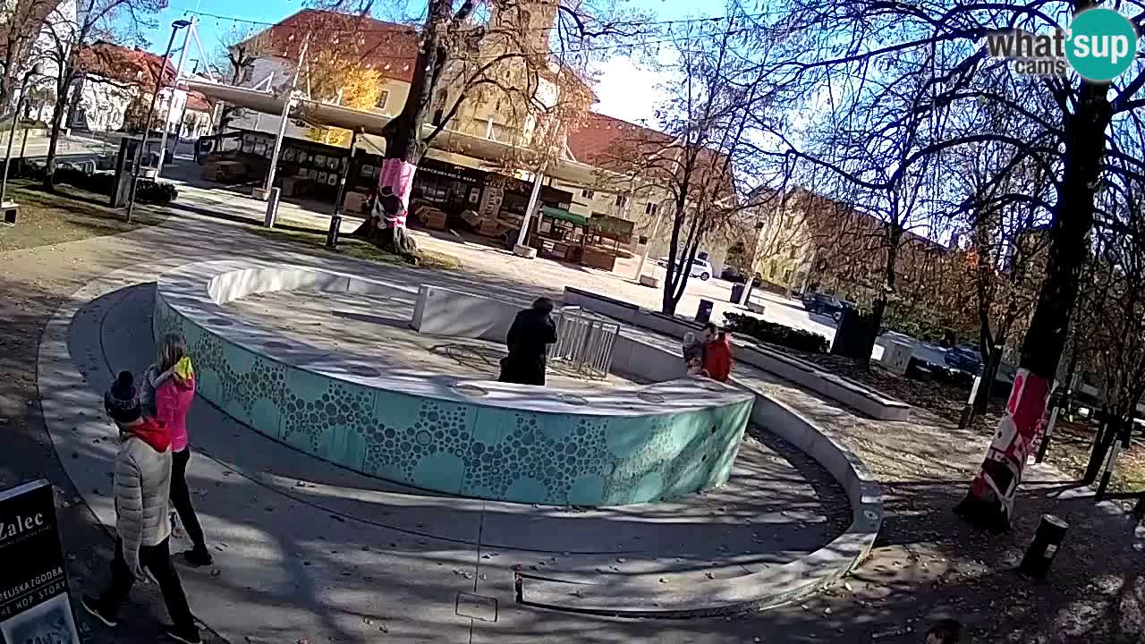 Web kamera Fontana piva – Zeleno zlato – Žalec