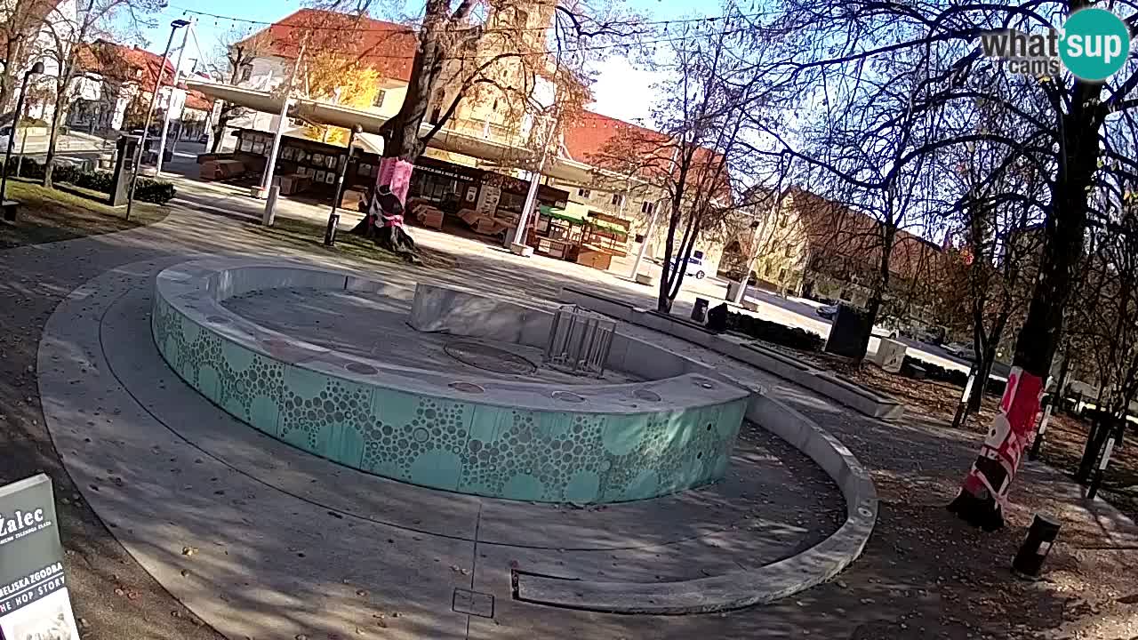 Spletna kamera Fontana Piv – Zeleno zlato Žalec