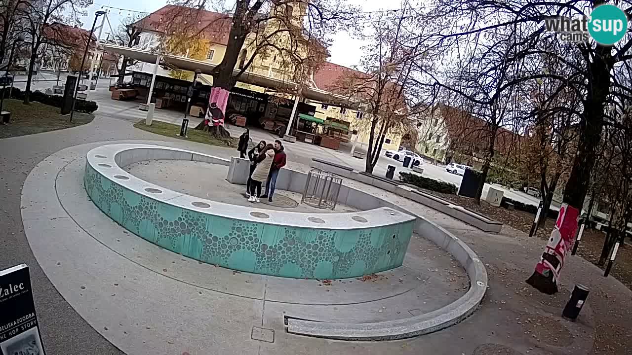 Camera en vivo Fuente de cerveza – Oro verde – Žalec