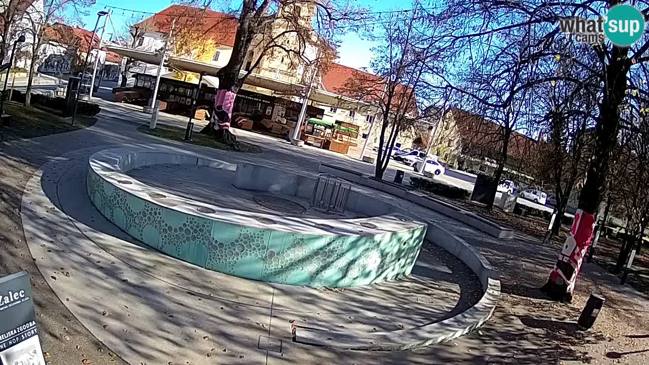 Camera en vivo Fuente de cerveza – Oro verde – Žalec