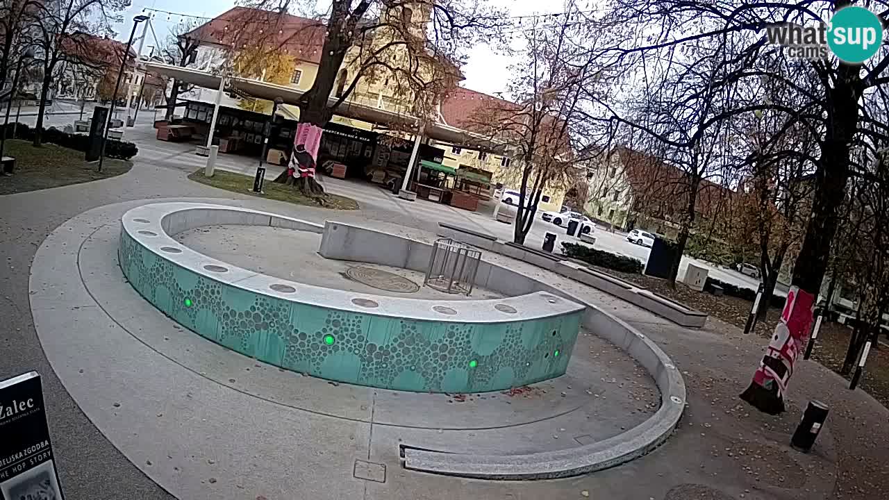 Fontaine à bière LIVE webcam – Or vert – Žalec
