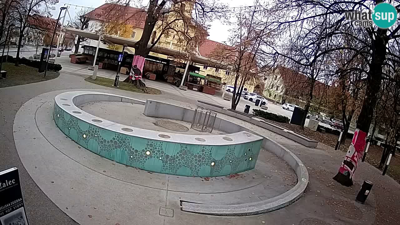 Camera en vivo Fuente de cerveza – Oro verde – Žalec