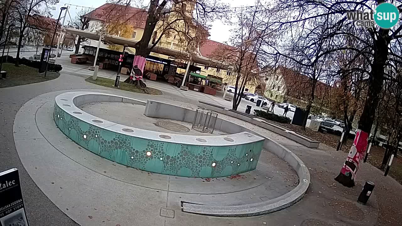 Web kamera Fontana piva – Zeleno zlato – Žalec