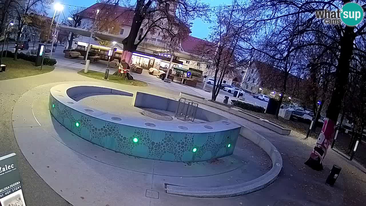 Bier-Springbrunnen Webcam Žalec – Grünen Goldes