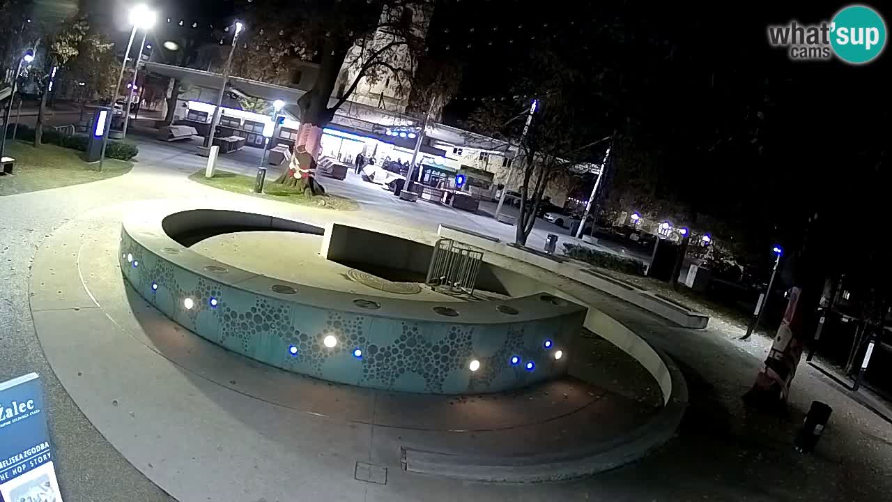 Fontaine à bière LIVE webcam – Or vert – Žalec