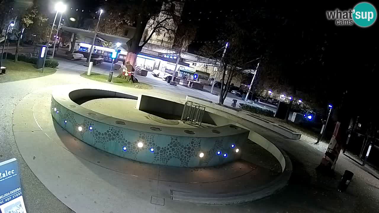 Bier-Springbrunnen Webcam Žalec – Grünen Goldes