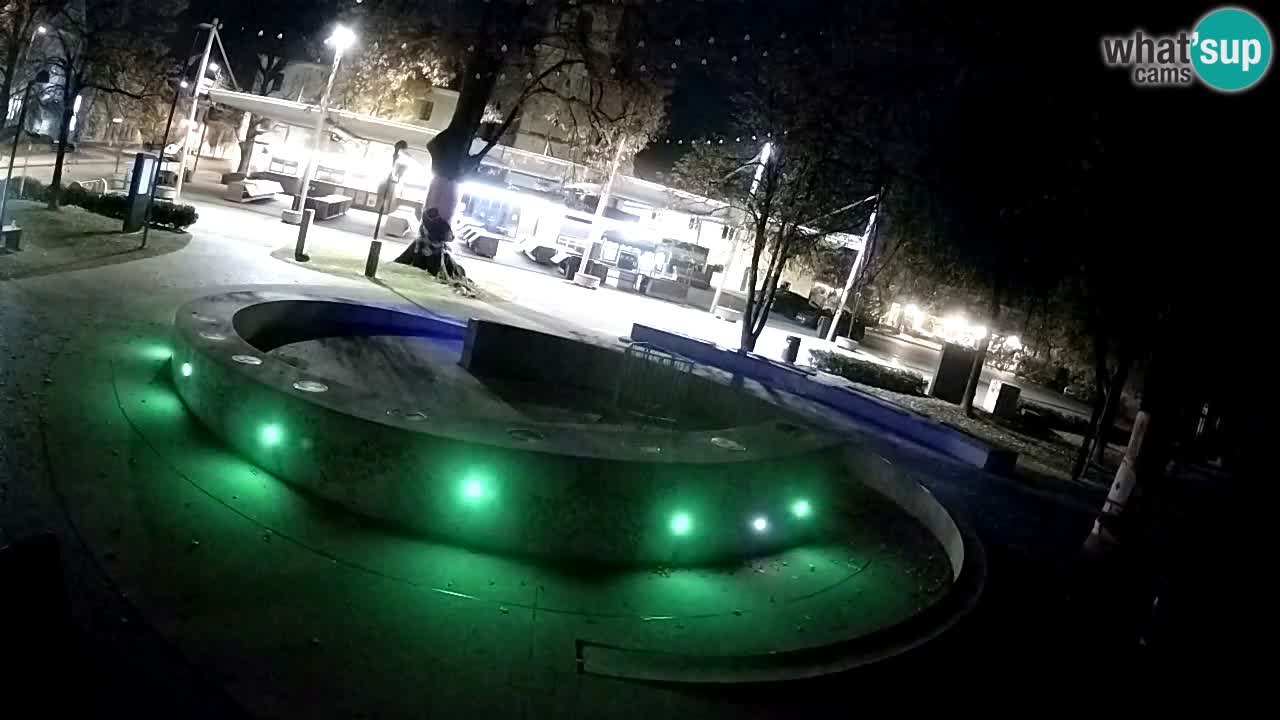 Spletna kamera Fontana Piv – Zeleno zlato Žalec