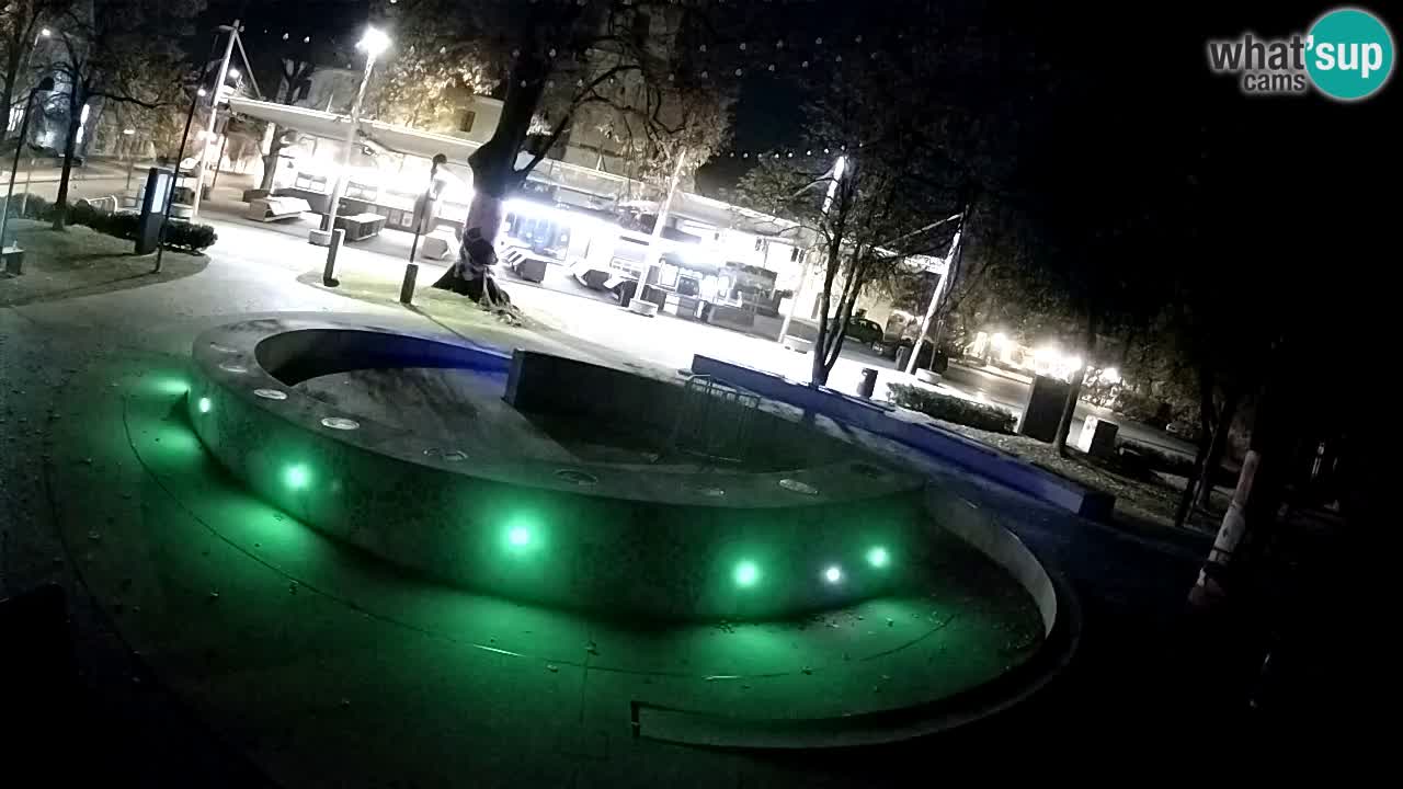 Bier-Springbrunnen Webcam Žalec – Grünen Goldes