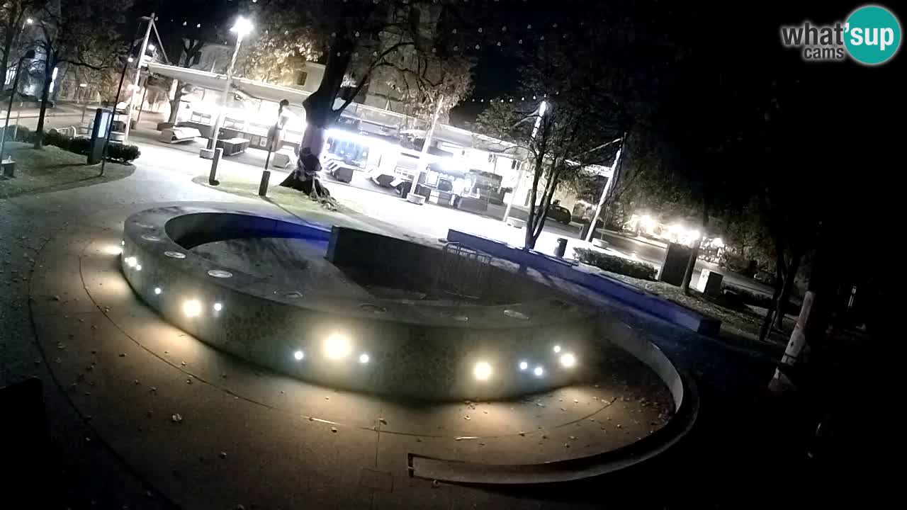 Camera en vivo Fuente de cerveza – Oro verde – Žalec