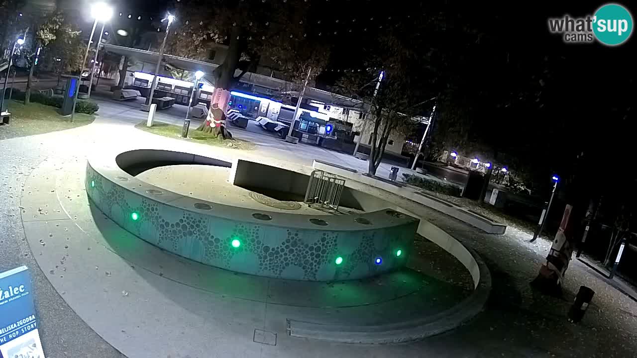 Spletna kamera Fontana Piv – Zeleno zlato Žalec