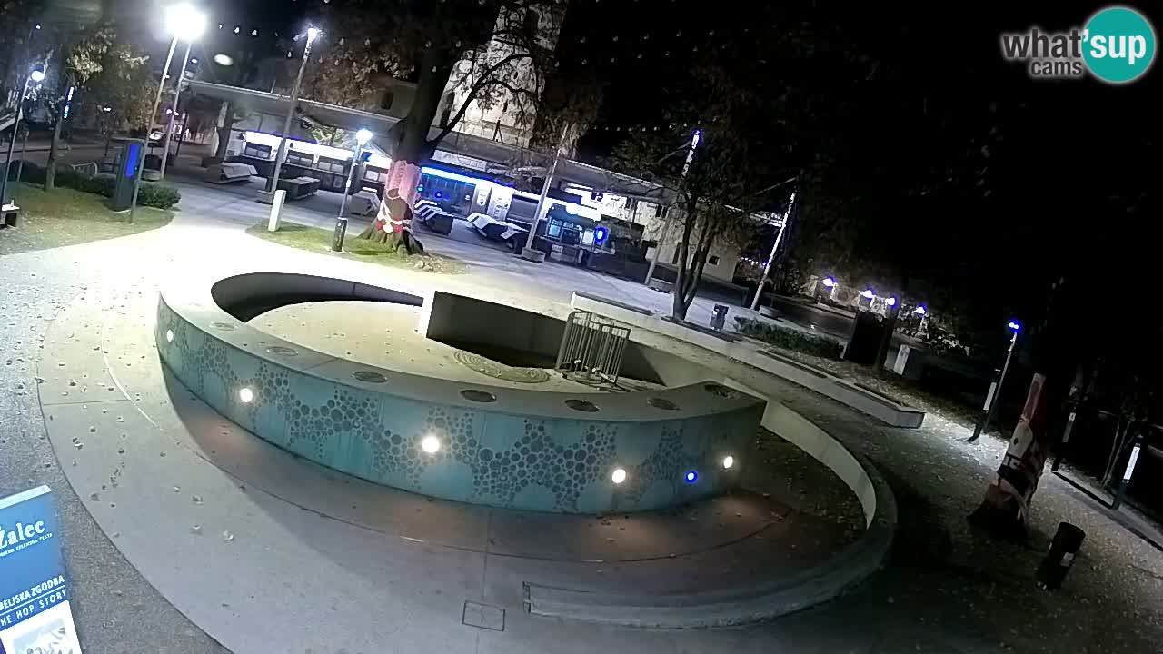 Bier-Springbrunnen Webcam Žalec – Grünen Goldes